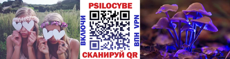 Псилоцибиновые грибы Cubensis  Абакан 